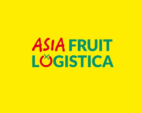 皇冠城娱乐网手机版登录