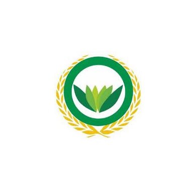 再进入全文